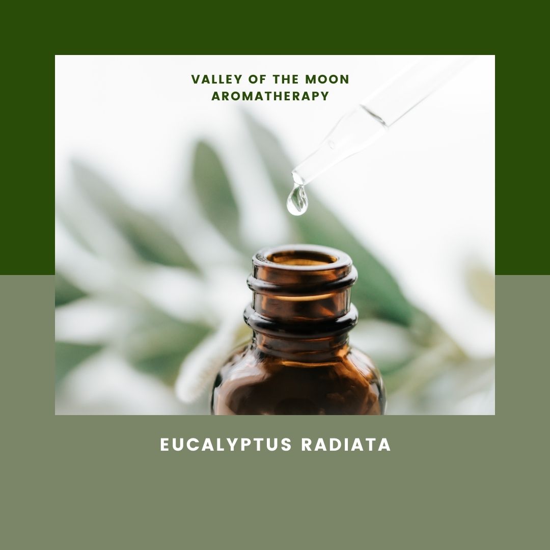 Bottle of Aroma Thyme’s Valley of the Moon organic and wildcrafted essential oil.