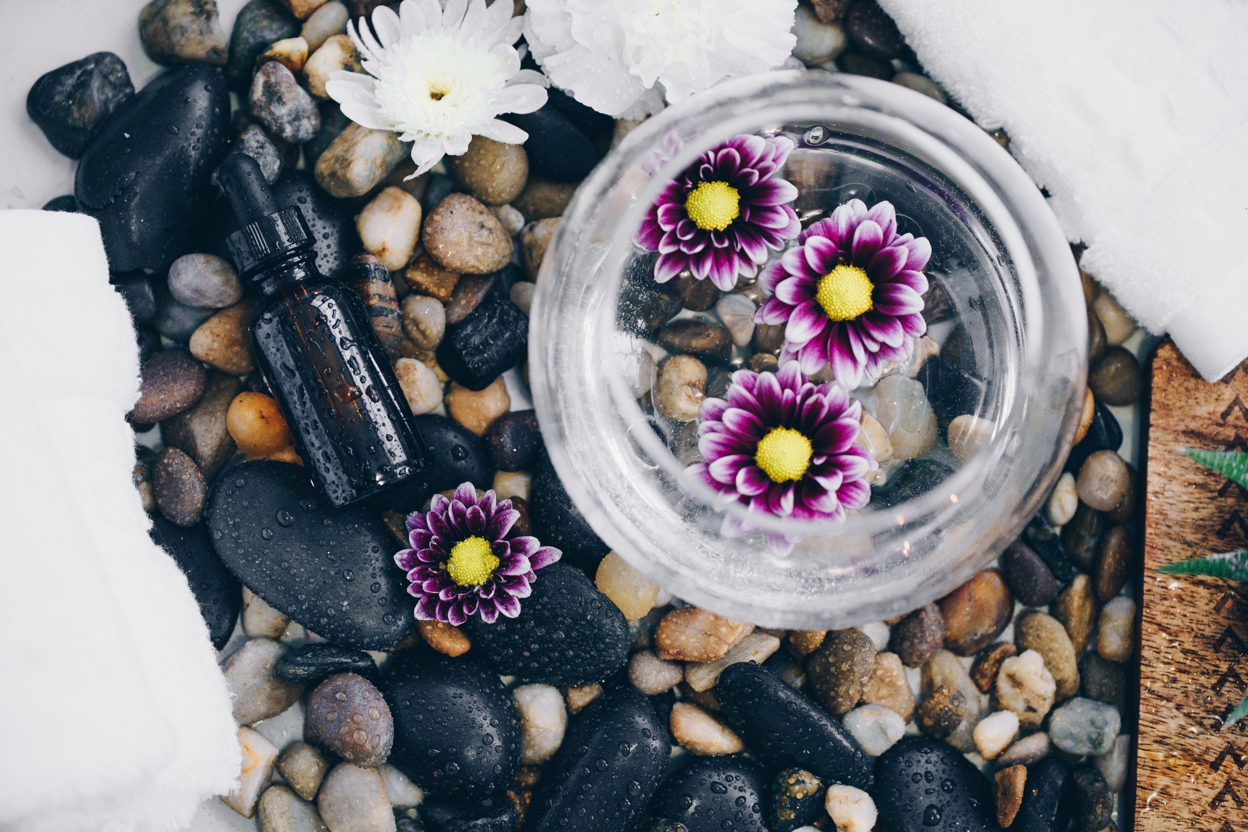 Shop our Collection of Immune System Wellness Products For Seasonal Self Care